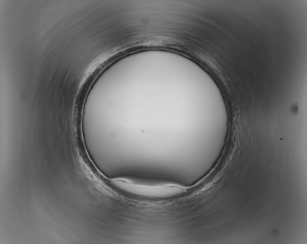 X0000115531122200911271340