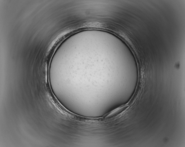 X0000115531123200911271340