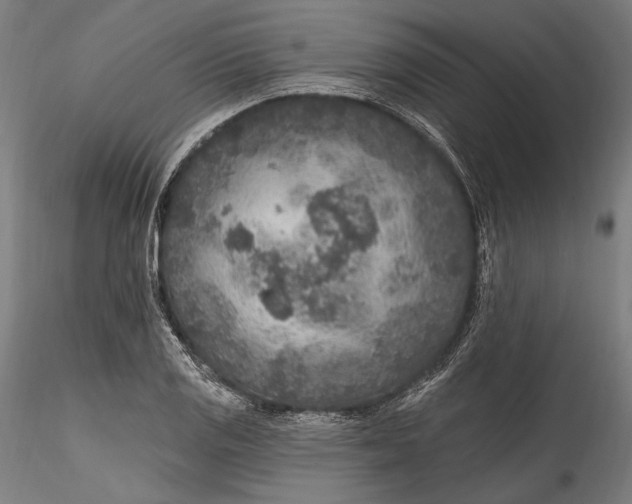 X0000115531125200911271340