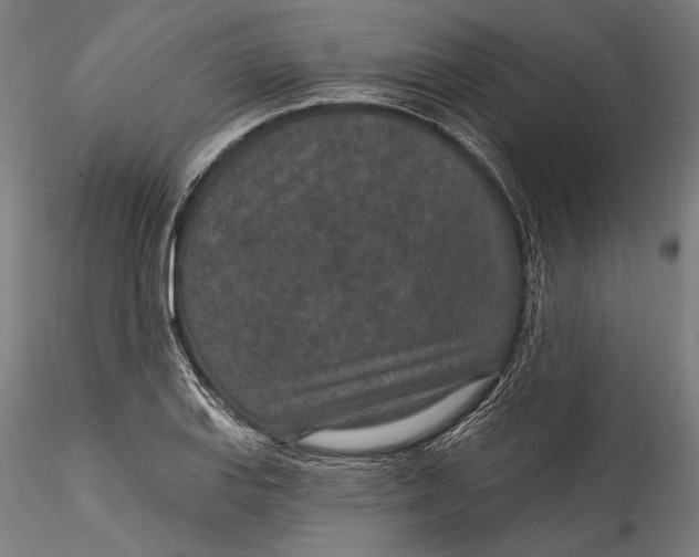 X0000115531127200911271340