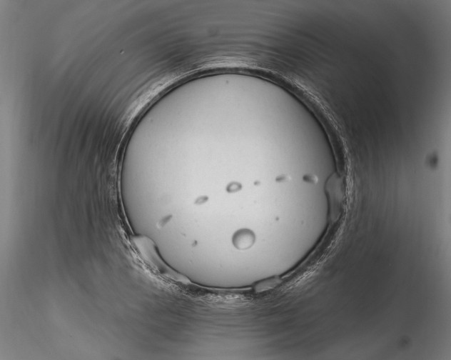 X0000115531129200911271340