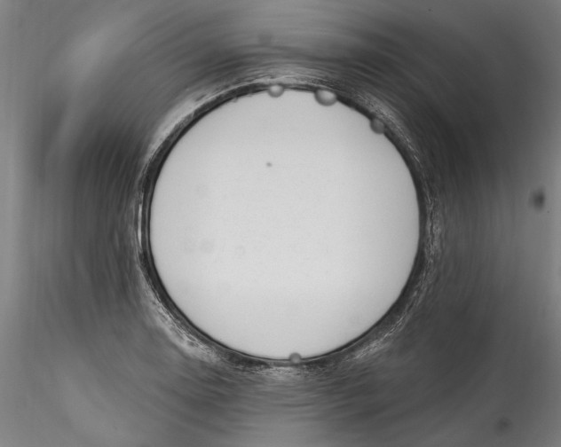 X0000115531130200911271340