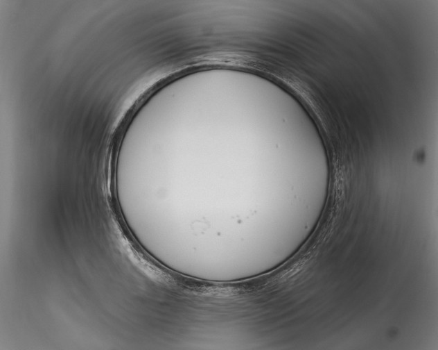 X0000115531131200911271340