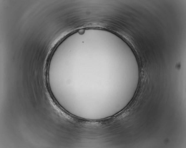 X0000115531135200911271340