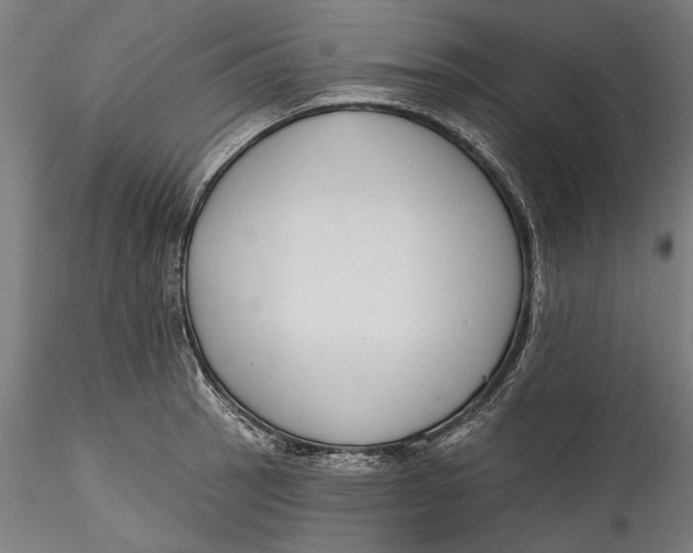 X0000115531137200911271340