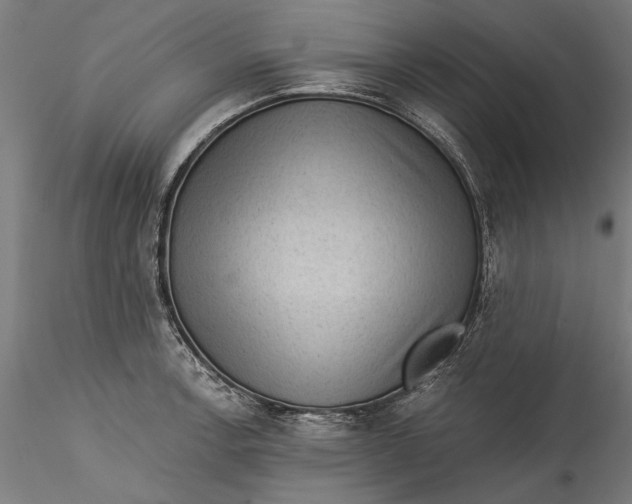 X0000115531138200911271340