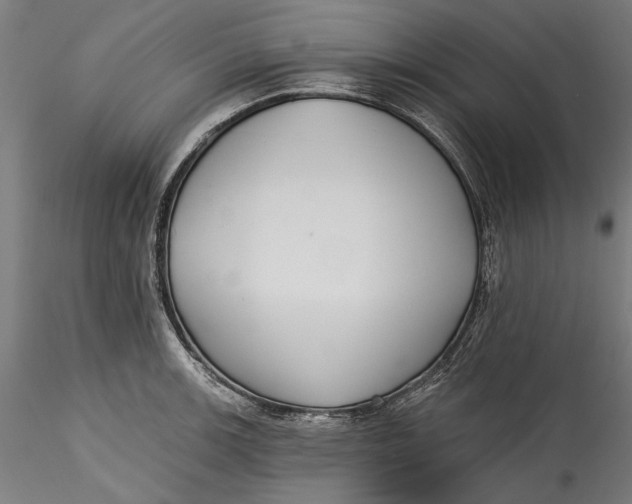 X0000115531139200911271340