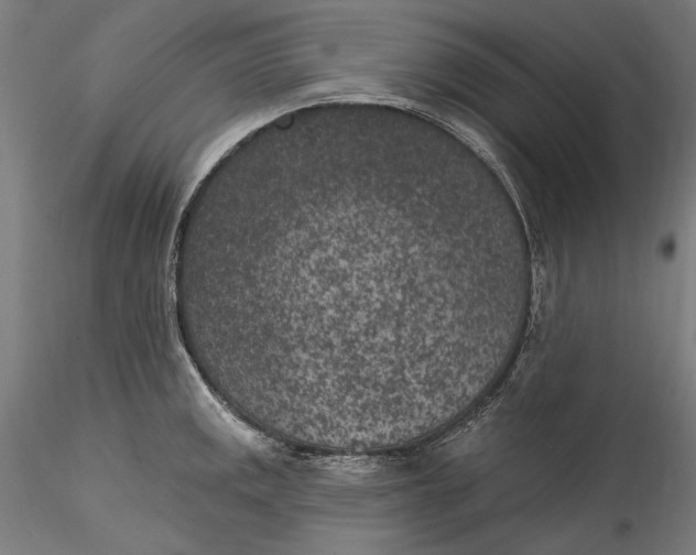 X0000115531141200911271340