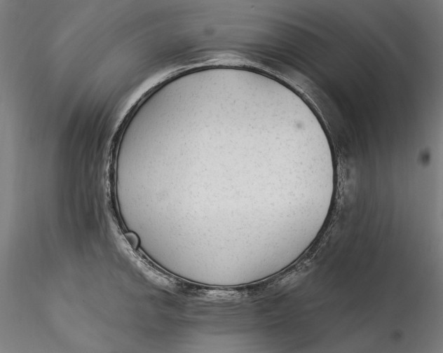 X0000115531142200911271340