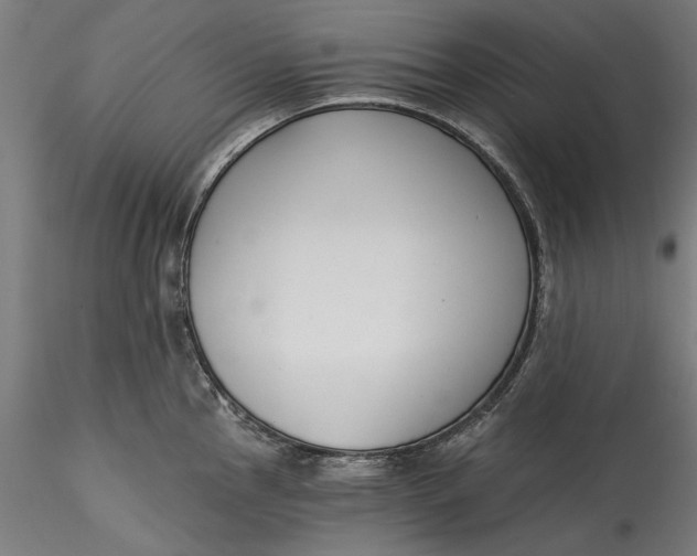 X0000115531145200911271340