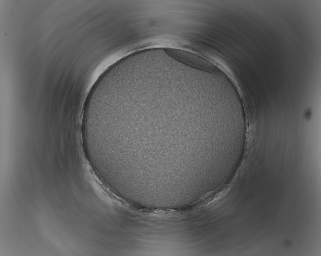 X0000115531146200911271340