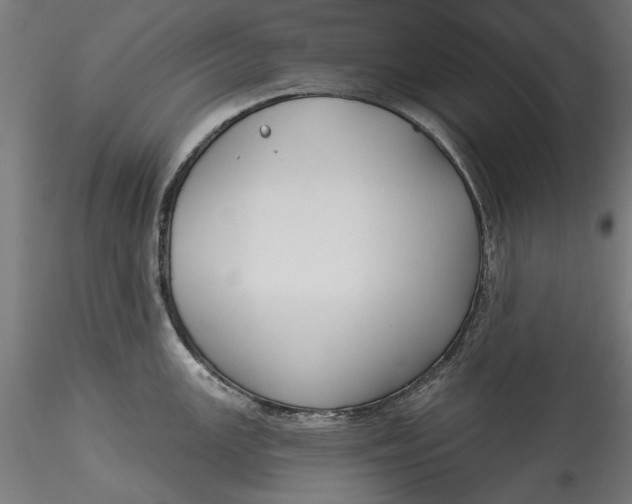 X0000115531147200911271340