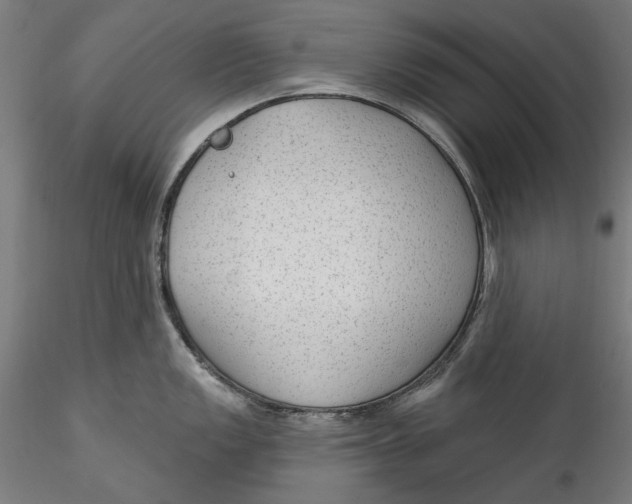 X0000115531149200911271340