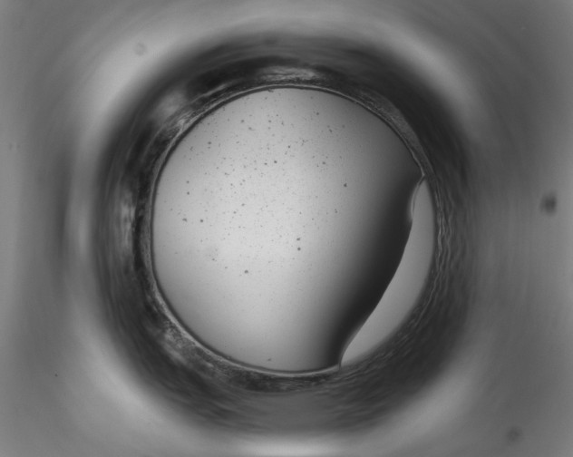 X0000115531151200911271340