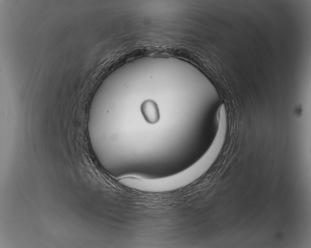 X0000115531153200911271339