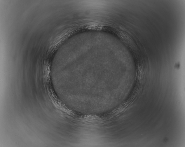 X0000115531154200911271339