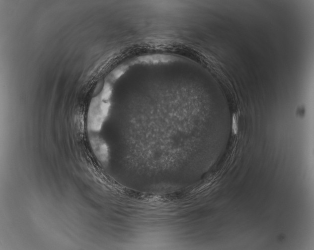 X0000115531155200911271339