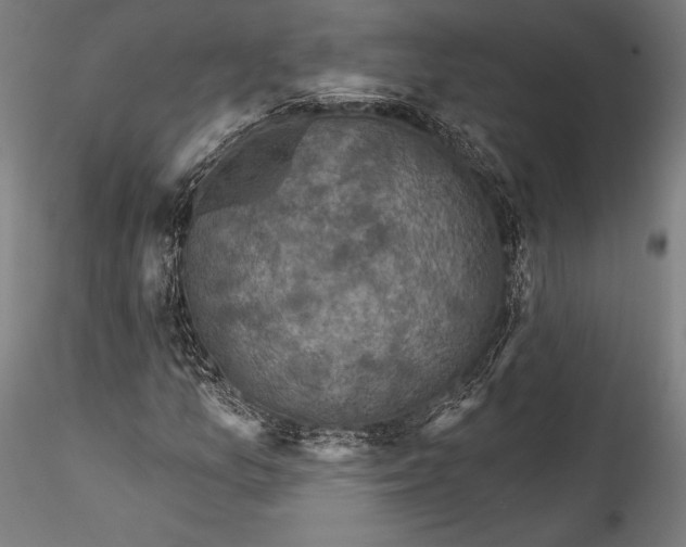 X0000115531157200911271339