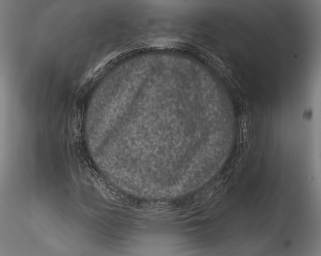 X0000115531158200911271339