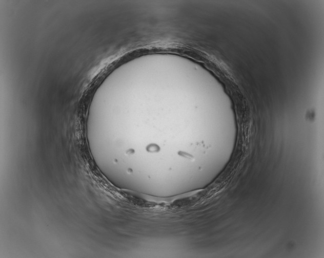 X0000115531160200911271339