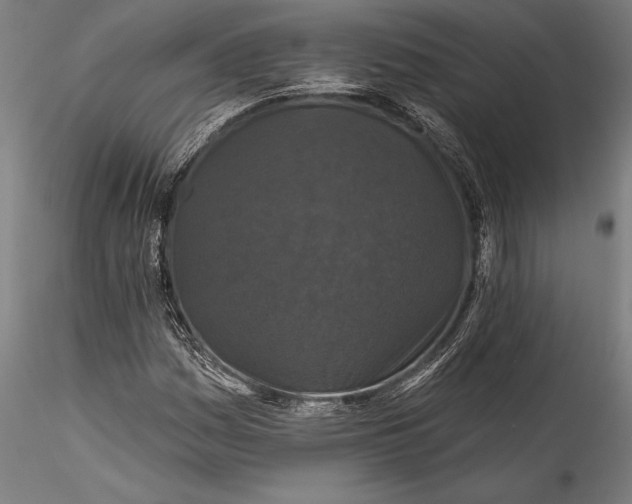 X0000115531161200911271339