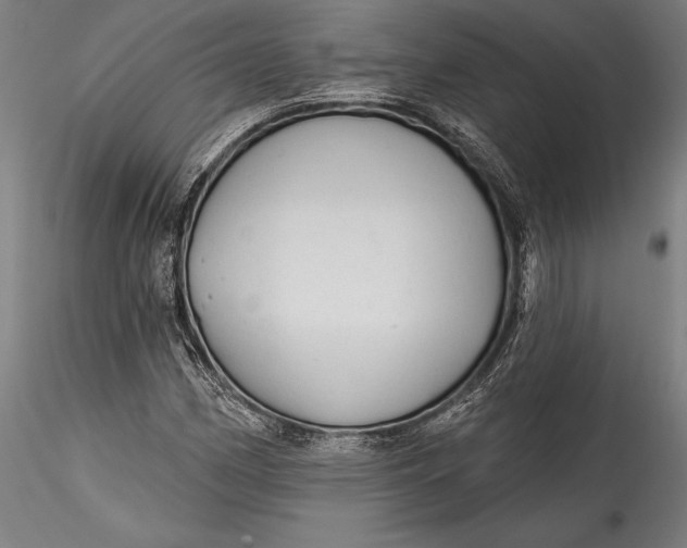 X0000115531162200911271339