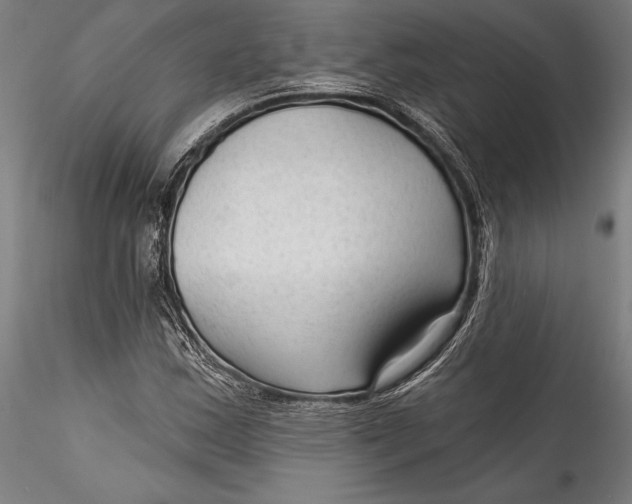 X0000115531163200911271339