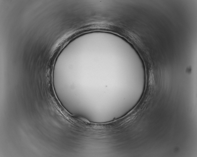 X0000115531164200911271339