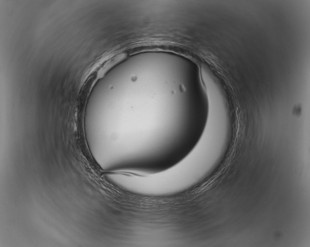 X0000115531165200911271339