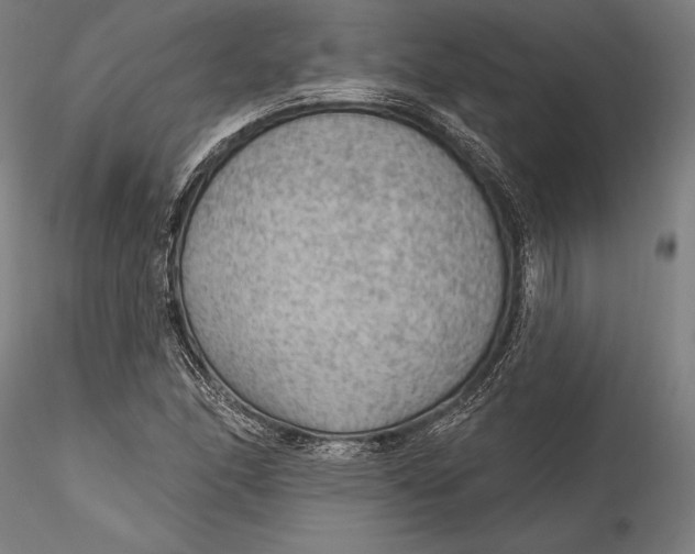 X0000115531166200911271339