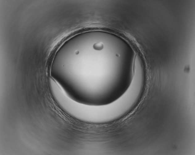 X0000115531167200911271339