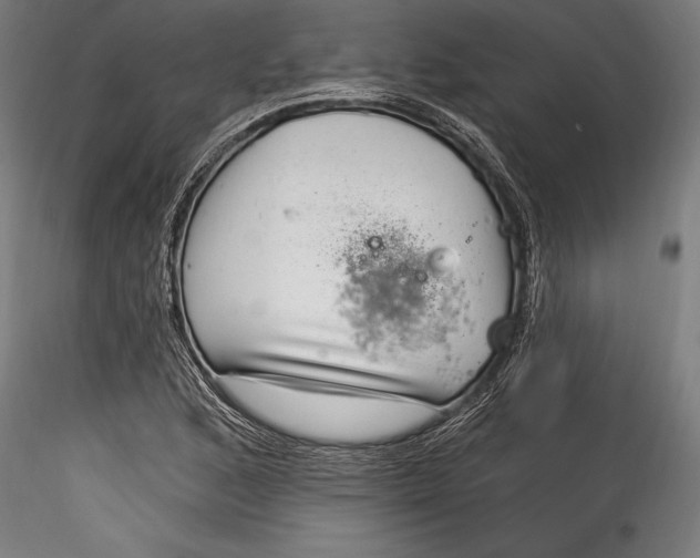 X0000115531168200911271339