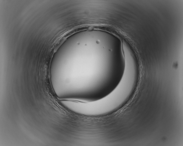 X0000115531169200911271339