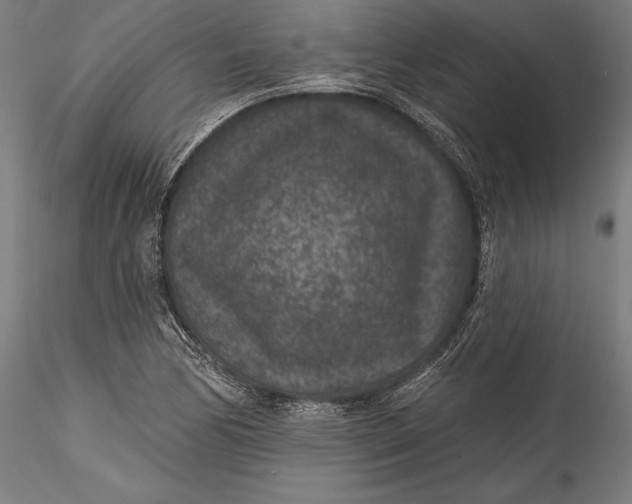 X0000115531170200911271339