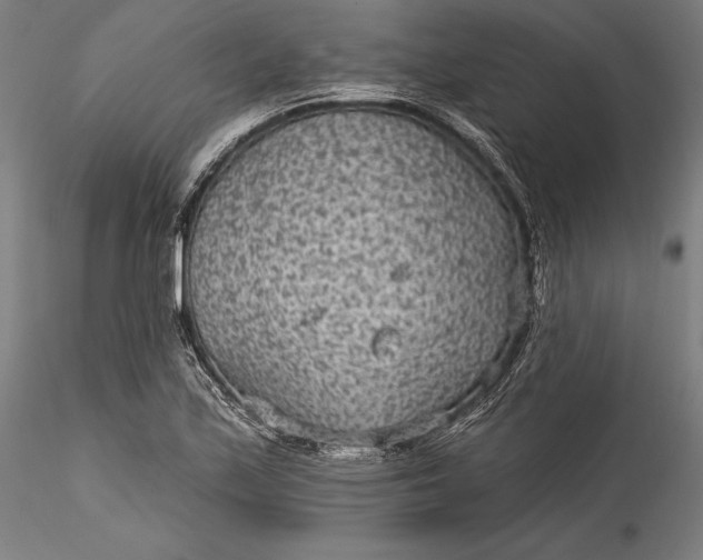 X0000115531171200911271339