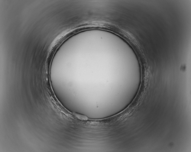 X0000115531172200911271339