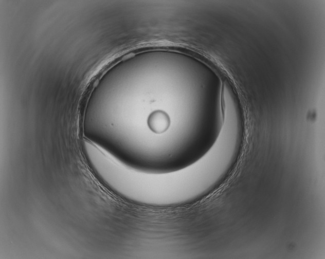 X0000115531173200911271339