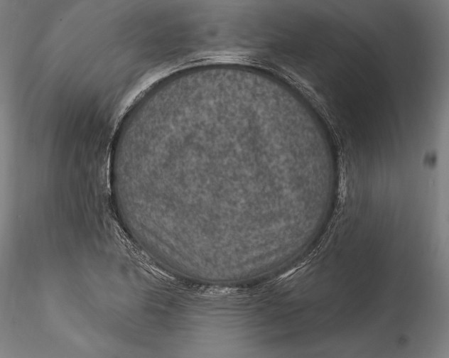 X0000115531174200911271339