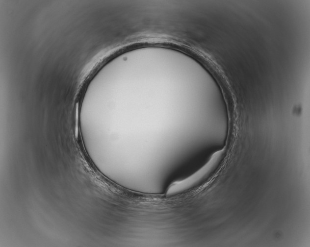 X0000115531175200911271339