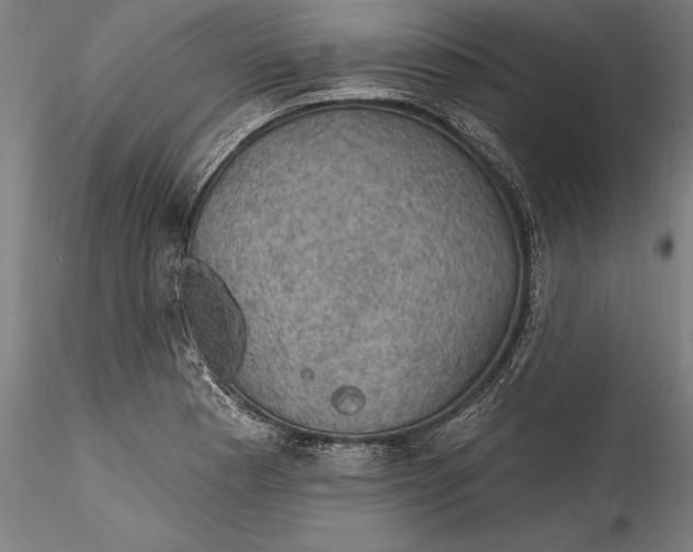 X0000115531177200911271339