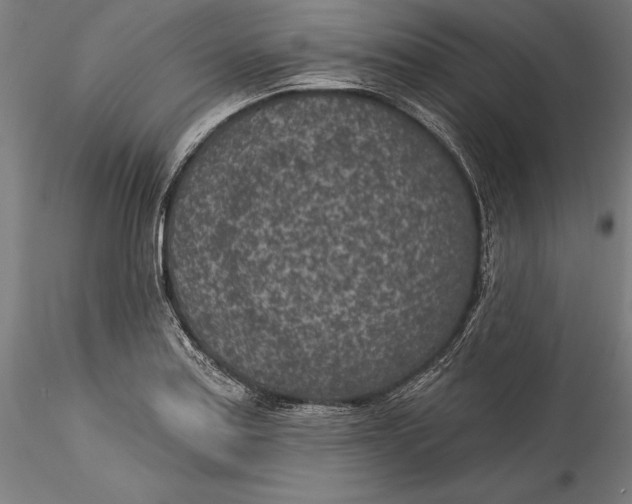 X0000115531179200911271339