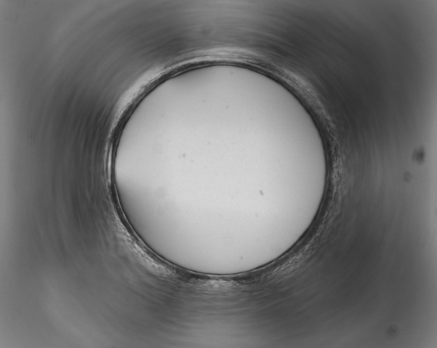 X0000115531180200911271339