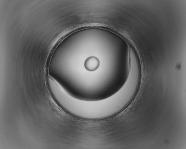 X0000115531181200911271339