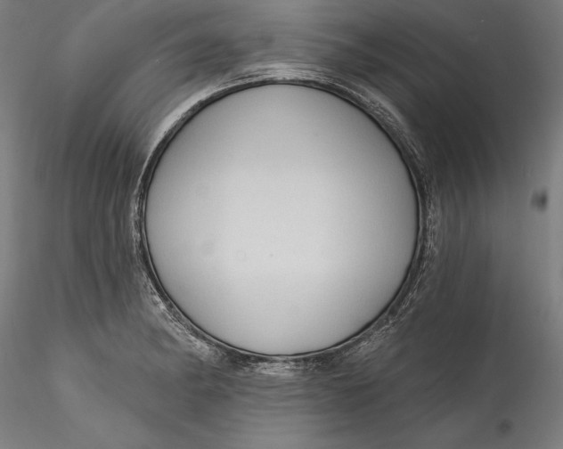 X0000115531182200911271339