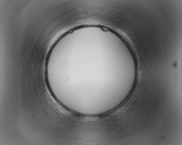 X0000115531183200911271339