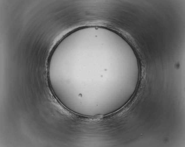 X0000115531184200911271339