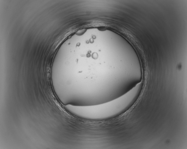 X0000115531185200911271339