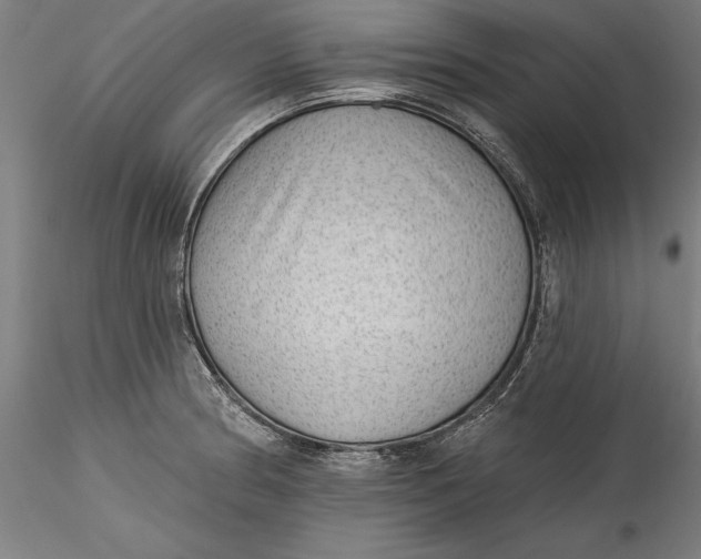 X0000115531186200911271339