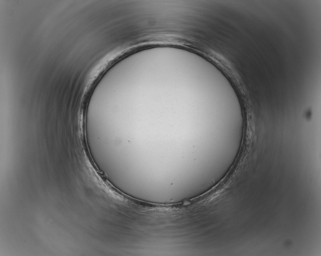 X0000115531188200911271339