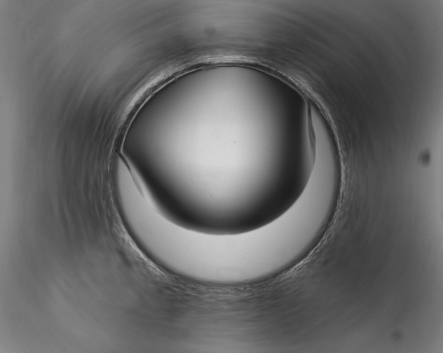 X0000115531189200911271339